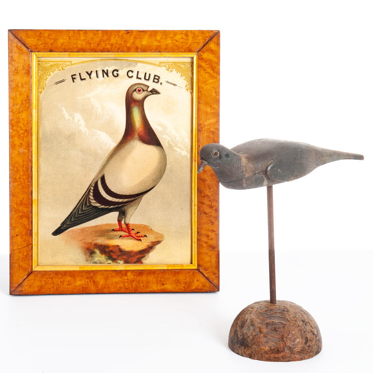 Working Pigeon Decoy
