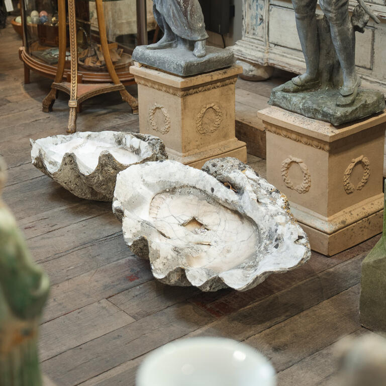 Giant Clam Shells