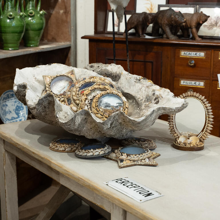 Giant Clam Shells