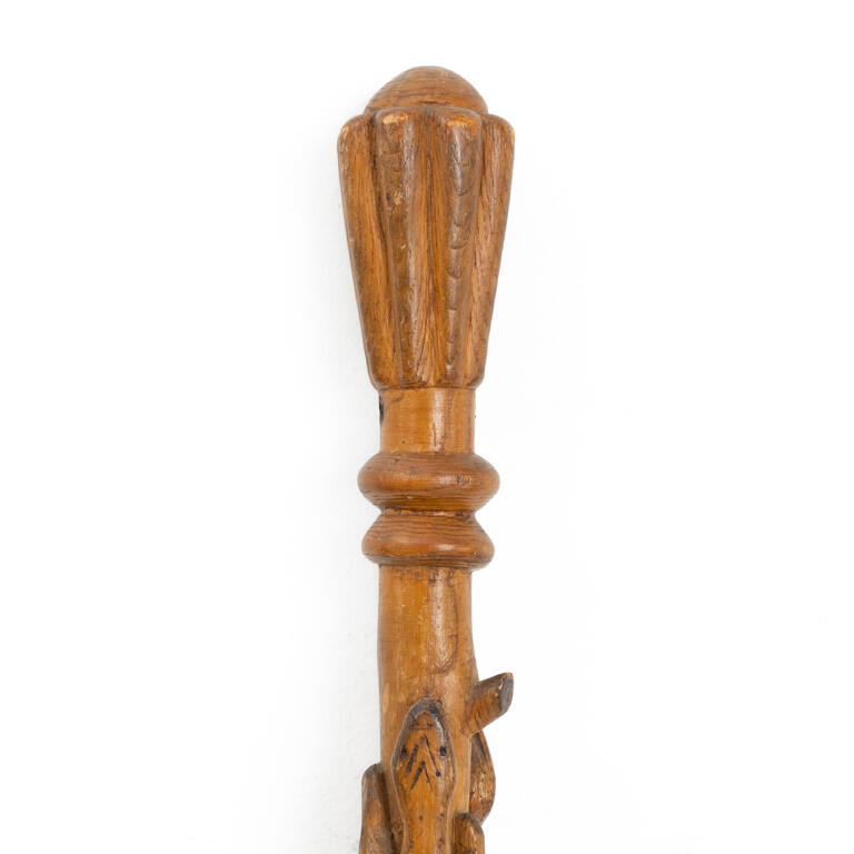 Snake Walking Stick